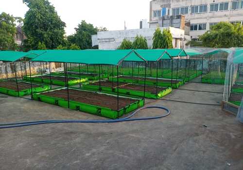Terrace Garden Services Provider in Noida